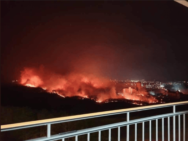 South Korean forest fire