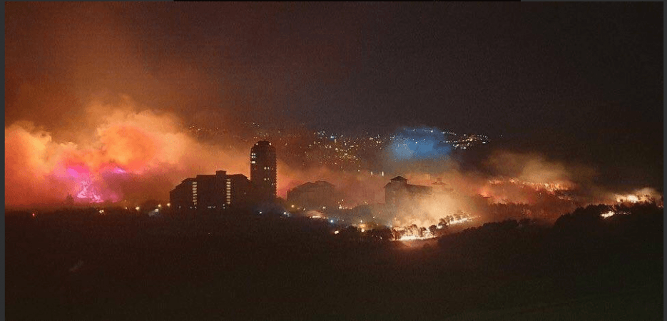 South Korean forest fire