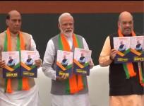 BJP mAnifesto