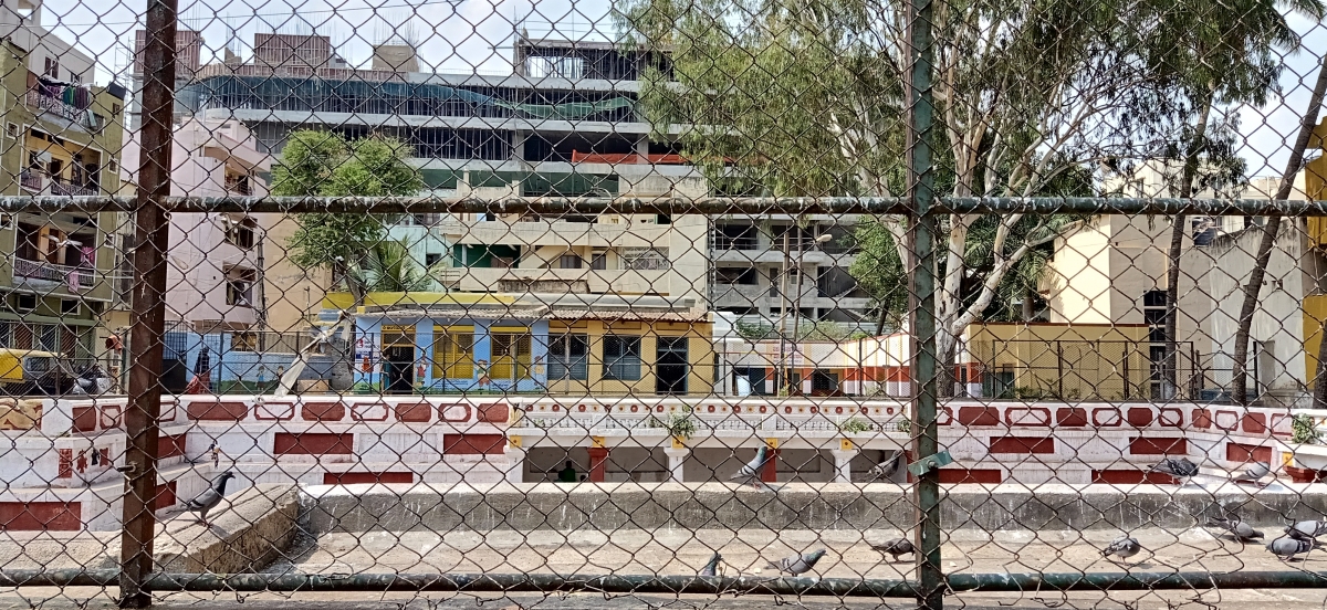 Oppo F11 Pro photo samples