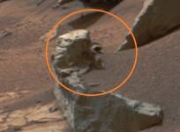 Penguin on Mars