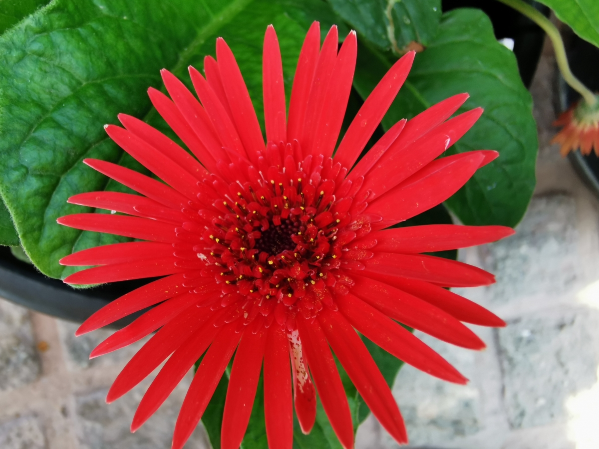 Huawei P30 Pro camera samples: Photo mode Huawei P30 Pro camera samples: Photo mode