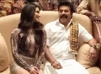 Madhura Raja box office