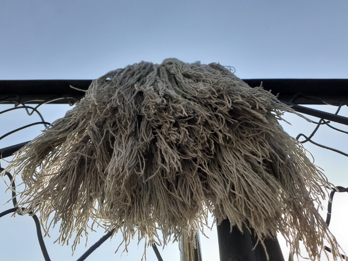 Samsung Galaxy M30 review: Normal camera mode Samsung Galaxy M30 review: Normal camera mode