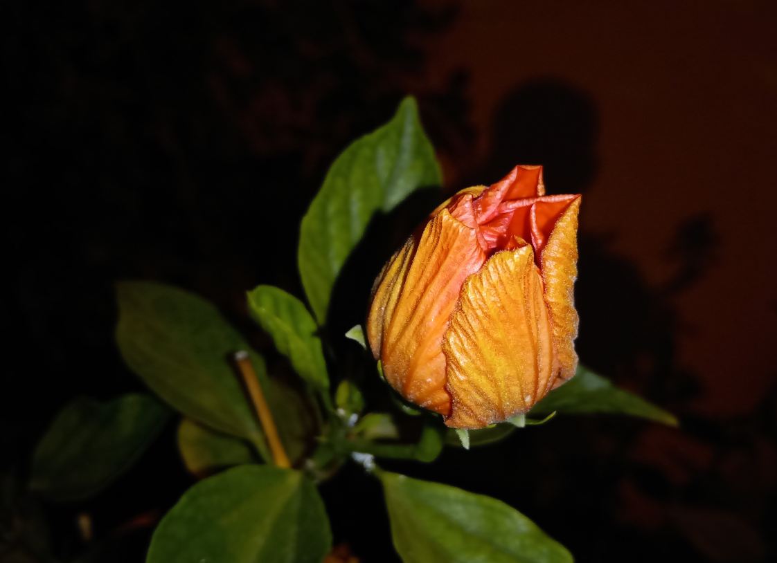 Realme 3, review, India, launch, price