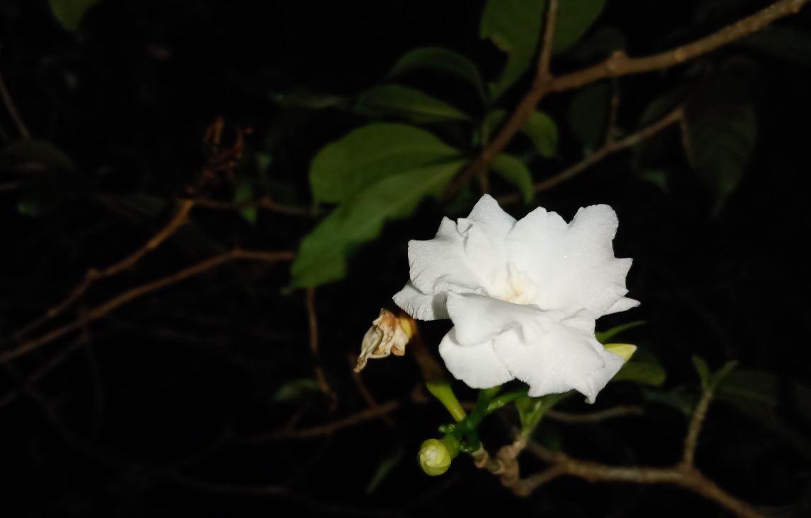 Realme 3, review, India, launch, price