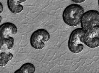 aliens on Mars
