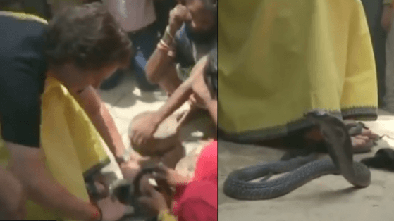 Congress leader Priyanka Gandhi Vadra plays with snakes in Raebareli. Priyanka Gandhi Vadra