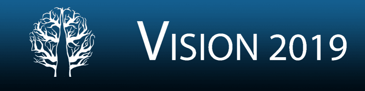 Vision 2019
