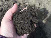 soil