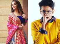 Dipika Kakar and Romil Chaudhary of Bigg Boss 12 fame
