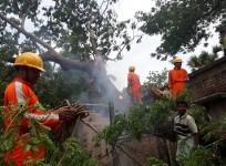 NDRF team clearing the uprooted tress at West Bengal's KAKDWIP BLOCK, SOUTH 24 PARGANA