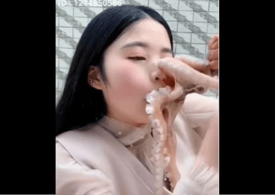 octopus stuck on woman's face