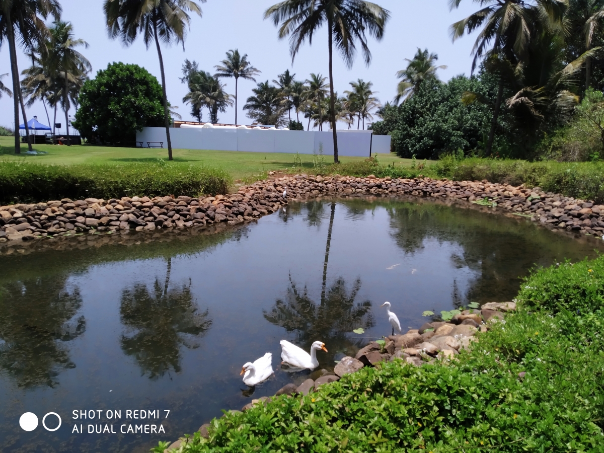 Xiaomi Redmi 7 review Xiaomi Redmi 7 review