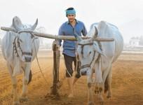 Maharshi