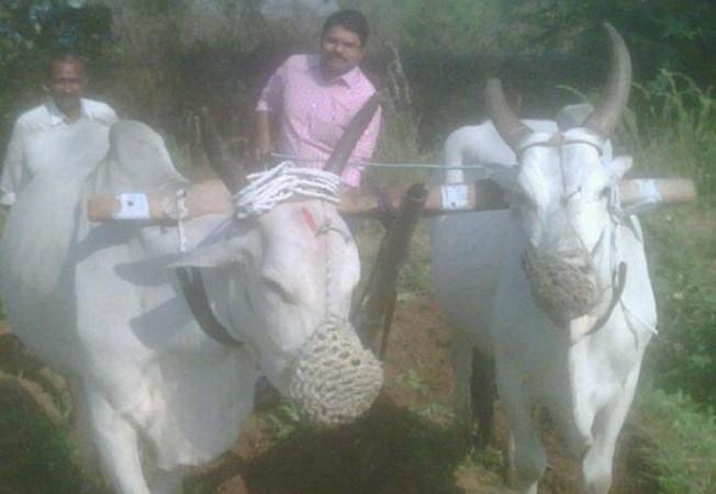 Madhura Sreedhar Reddy Madhura Sreedhar Reddy