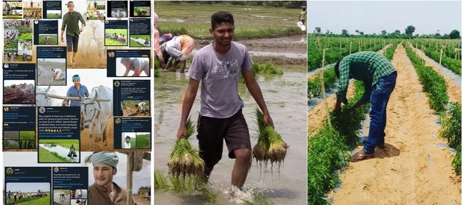After watching Maharshi, viewers headed to villages to take up weekend farming After watching Maharshi, viewers headed to villages to take up weekend farming