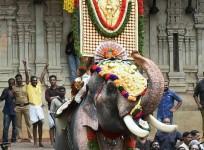Thrissur Pooram