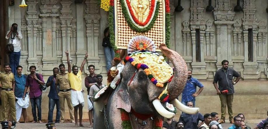 54-year-old elephant Thechikottukaavu Ramachandran opens Thrissur Pooram festival in Kerala Thrissur Pooram