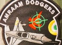 Amram Dodgers