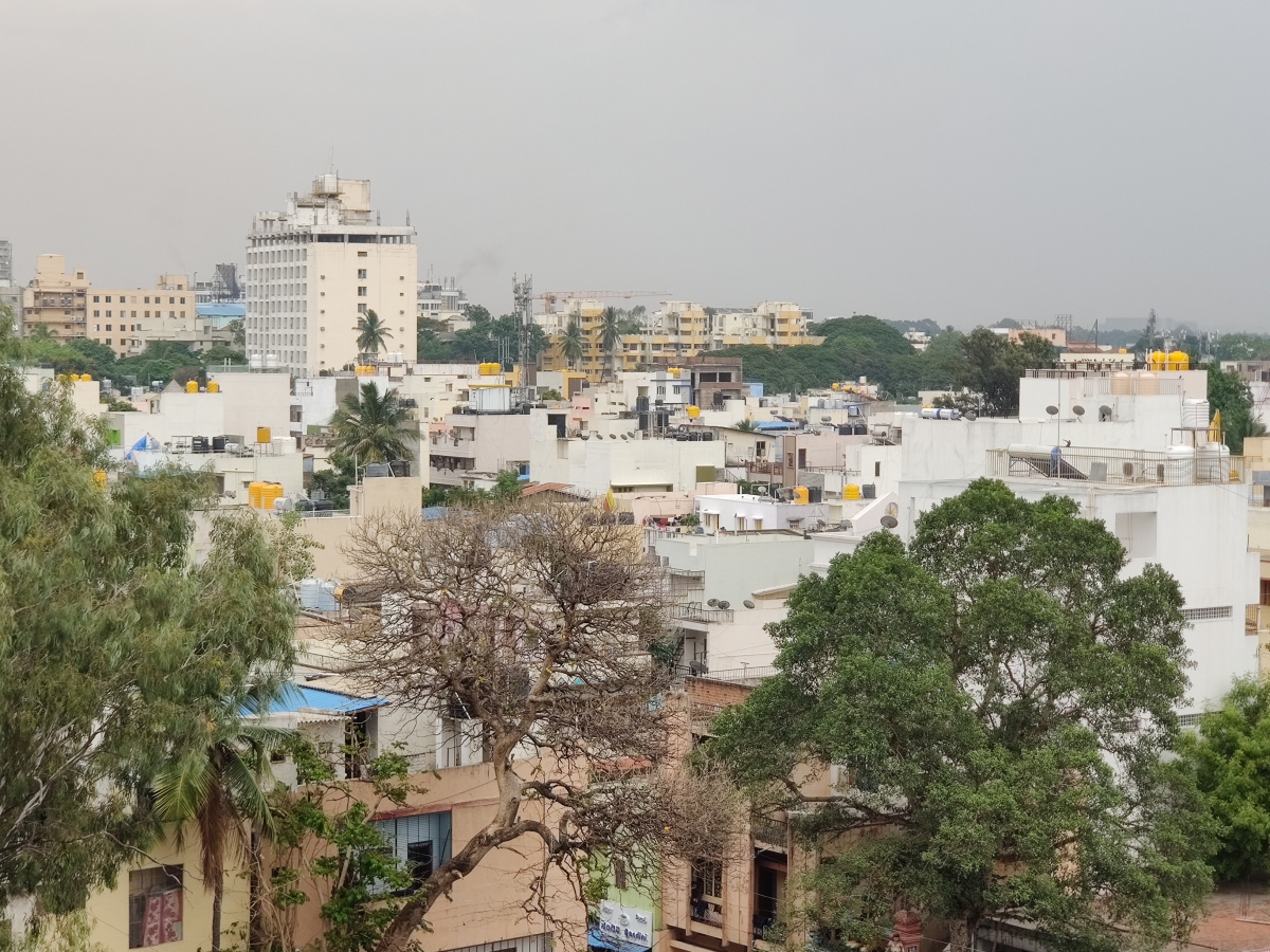 OnePlus 7 Pro camera sample: 3x zoom