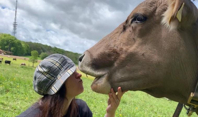 Cow kiss challenge #kuhkusschallenge Cow kiss challenge