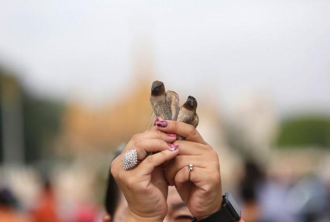 People offer prayers at the holy shrines of Lord Buddha. In some countries, people also release birds, insects and animals as an act of Buddha