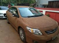cow dung on car