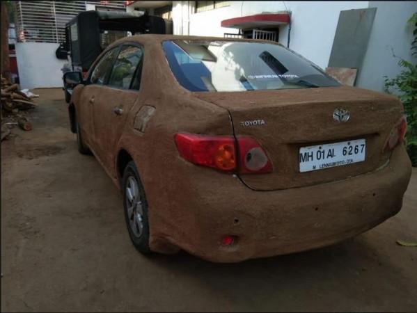 cow dung on car 2