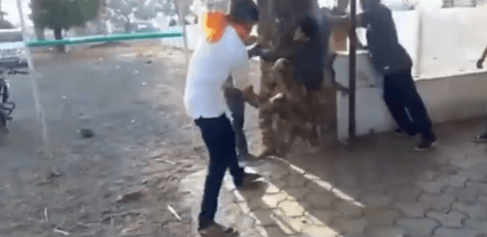 The cow vigilantes had reportedly got a tip-off that 2 Muslim youths and a woman, who were travelling in an auto, were carrying beef. cow vigilantes