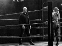 Becky Lynch Stone Cold Steve Austin