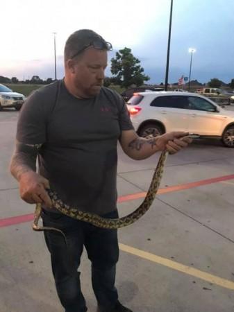 snake in walmart 2