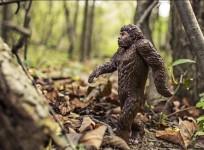 Bigfoot