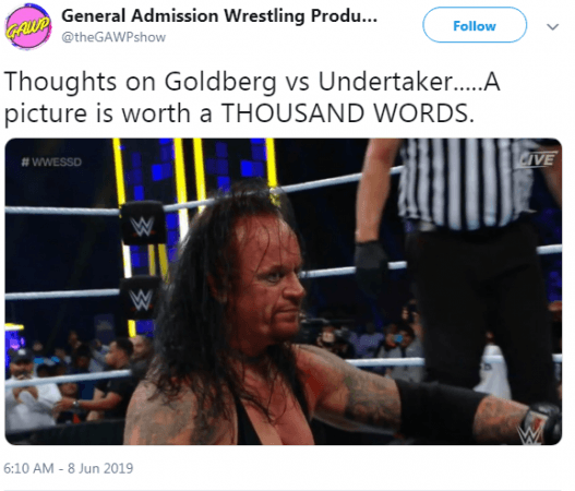 Undertaker vs Goldberg
