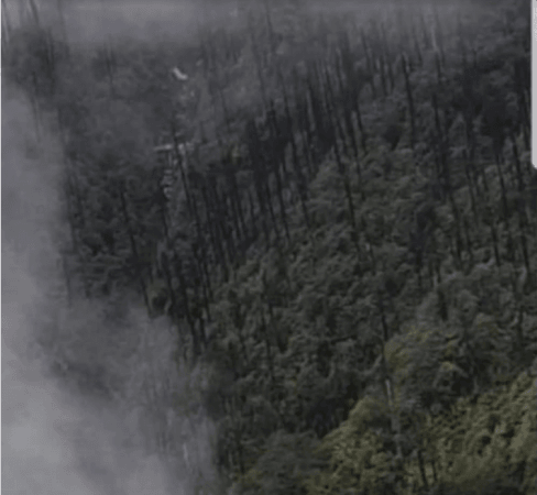 Debris from the IAF An-32 aircraft scattered here and charred trees supposedly due to a big fire following the crash in Arunachal hillside. arunachal iaf an 32
