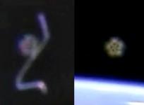 alien plankton