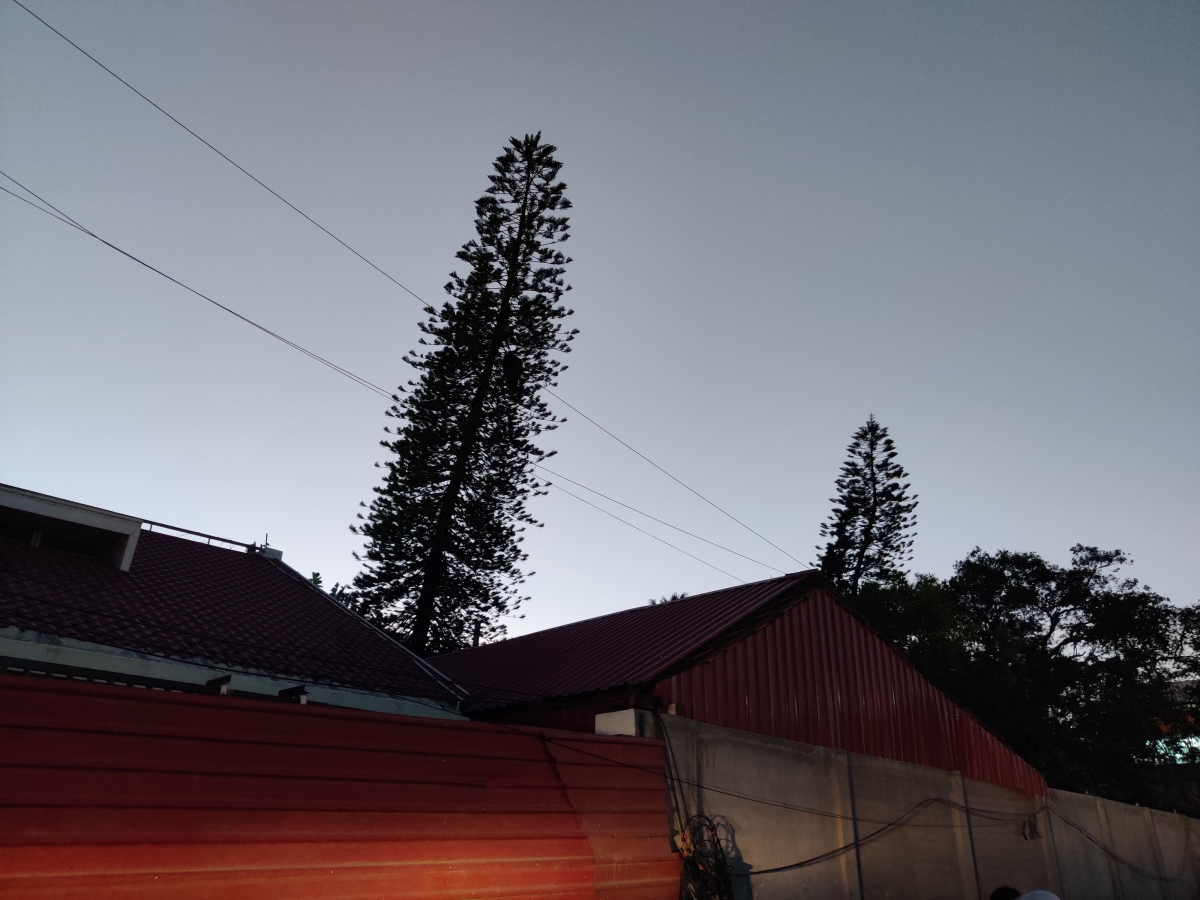 OnePlus 7 low light sample