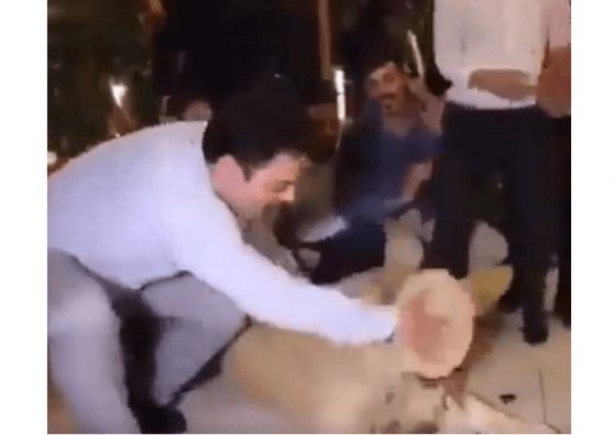 man smashes cake on lion