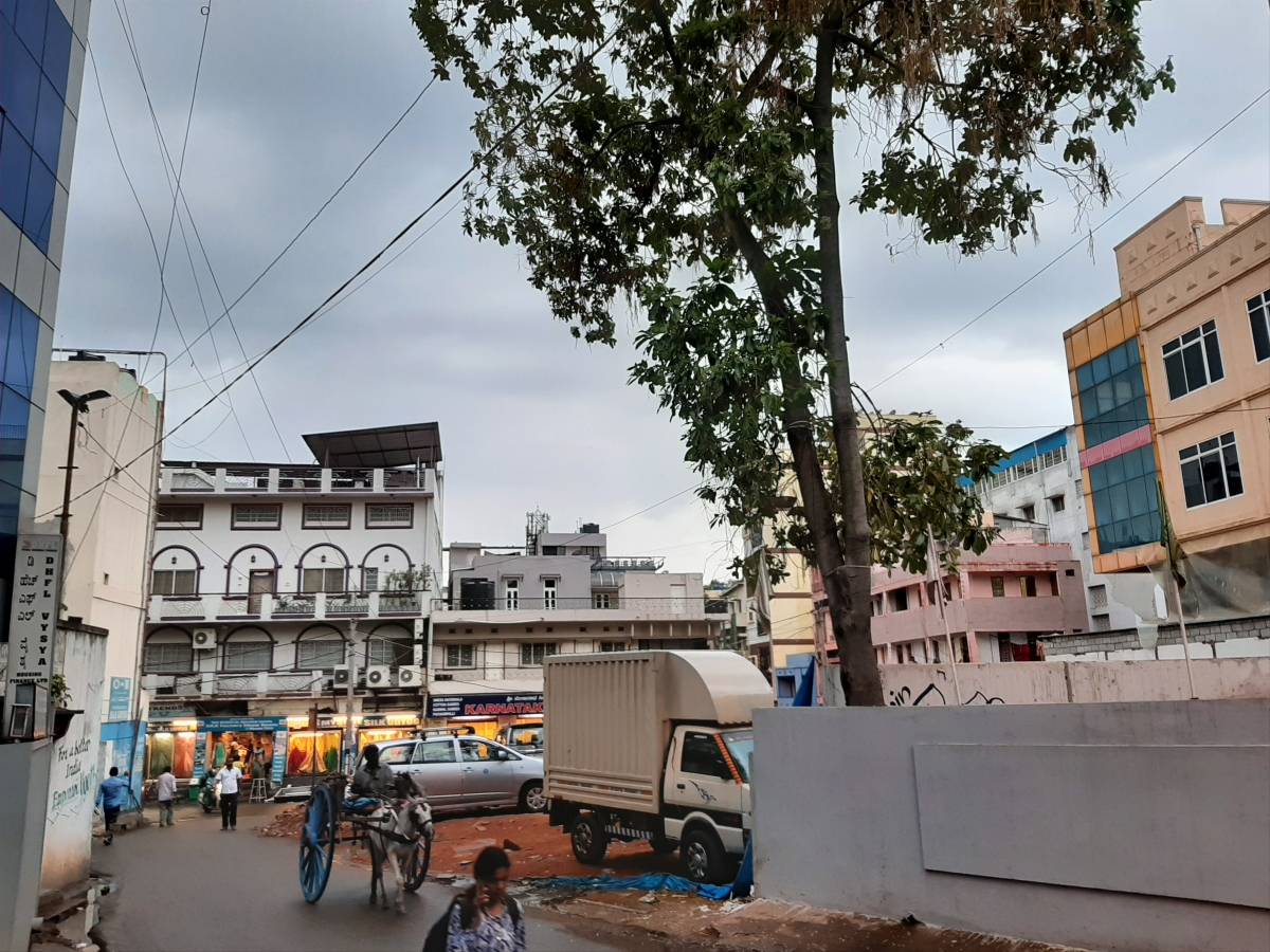 Samsung Galaxy A50 camera sample Samsung Galaxy A50 camera sample