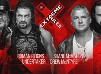 The Undertaker Shane McMahon