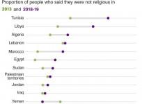 BBC survey-Arab
