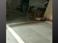 patient dragged across the floor