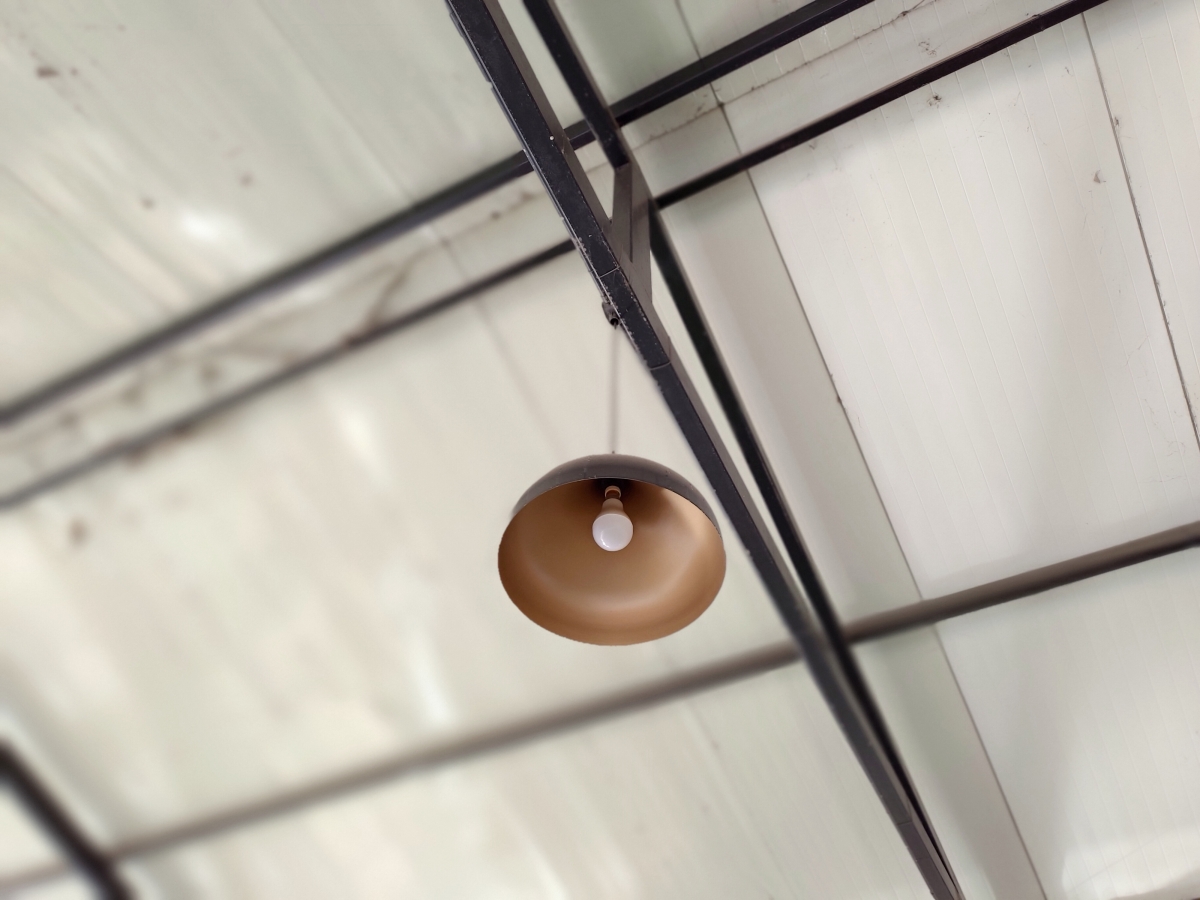 Asus Zenfone 6Z review - camera samples