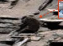 Mars Monkey
