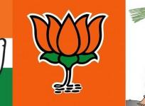 Karnataka party flags