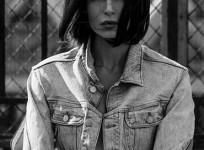 Iranian model