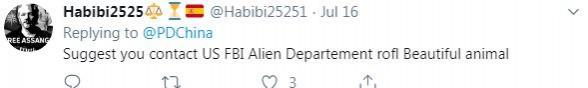 human face on spider tweet 4