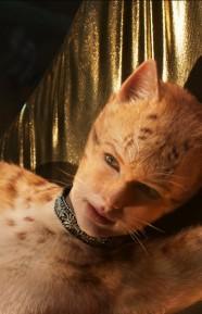 The Cats Movie Trailer Has Been Released And Netizens Are Finding The