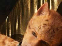 The Cats trailer