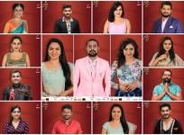 Bigg Boss Telugu 3 15 contestants